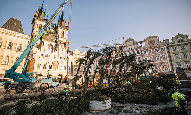 Vánoční strom na Staroměstském náměstí pokáceli, na trzích přibylo turistů