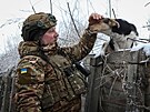 Písluník ukrajinské 61. mechanizované brigády se svým psem v zákopech v...