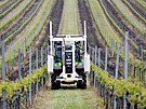 Ve vinohradech pobl Mikulova zaalo testovn nov technologie, kter pome...