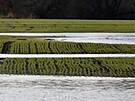 Pole a pastviny u Vokova na Chebsku, kter� zalila �eka Oh�e.