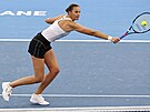 eská tenistka Karolína Plíková v zápase s Naomi Ósakaovou.