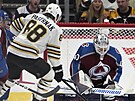 David Pastrák (88) z Boston Bruins se v zápase s Colorado Avalanche pokouí...