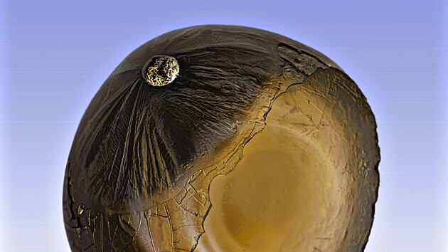 �esk� n�lezce Zden�k Schneider na�el prvn� �esk� mikrometeorit. (5. ledna 2024)