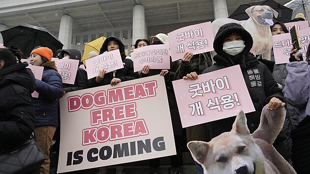 Protestn shromdn na podporu vldnho nvrhu zkona o zkazu  konzumace psho masa v Jin Koreji (9. ledna 2024)