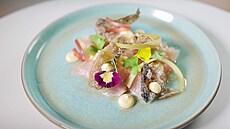 Pstruh s omákou ponzu se smaenou kí