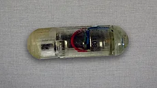 Ampulka nevypadá nijak pvabn, je vak levná. A stejn má být schovaná v ...