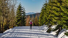 Li��í cesta je dostate�n� �iroká, tak�e se na ní vejdou klasici i vyznava�i...
