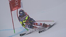 Chorvat Filip Zubi na trati obího slalomu v Abelbodenu