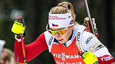 Lucie Charvátová na trati stíhacího závodu v Oberhofu
