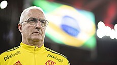 Nový trenér brazilské reprezentace Dorival Júnior, na snímku je�t� ve slu�bách...