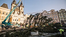 Kácení vánočního stromu na Staroměstském náměstí. (8. ledna 2024)