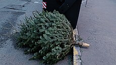 První stromky se v ulicích za�aly objevovat na konci roku.