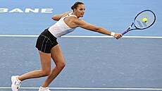 eská tenistka Karolína Plíková v zápase s Naomi Ósakaovou.