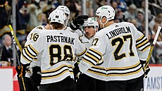 David Pastrák (88), Brad Marchand (63) i Hampus Lindholm (27) slaví bostonský...