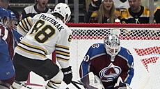 David Pastrák (88) z Boston Bruins se v zápase s Colorado Avalanche pokouí...