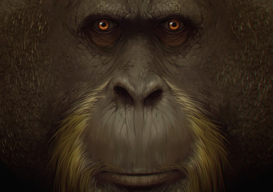 Pan Gigantopithecus blacki, obí opice. Tak obí, e na svou velikost nakonec...