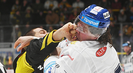 Verva Litvínov - Rytíi Kladno, hokejová extraliga. Martin Nemík v bílém a...