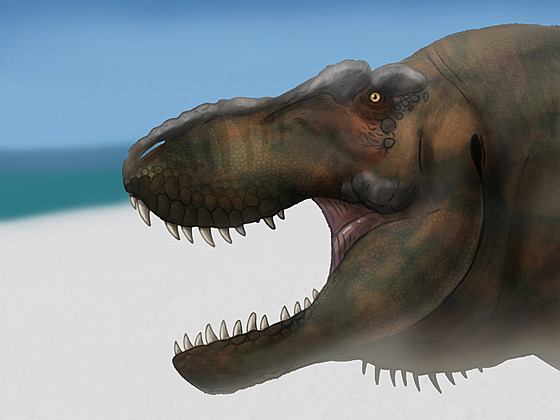 Rekonstrukce pibliného vzezení hlavy tyranosaurida druhu Tyrannosaurus...