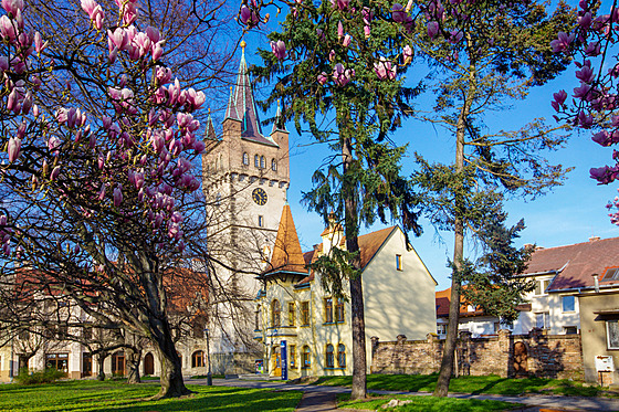 Vysoké Mýto v Pardubickém kraji se py�ní dochovanými zbytky st�edov�kého...