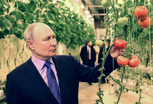 Putin se kochal rajčaty na polárním kruhu. Zahájil předvolební turné