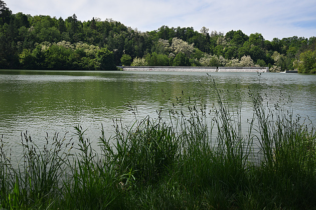 Milostný trojúhelník se zvrtl ve čtverec. Manžel s milencem připravili krutou past