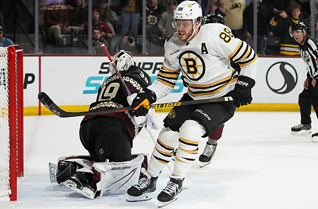 Pastrňák a další tři Češi v NHL skórovali, Dostál byl hvězdou duelu