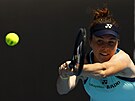 eská tenistka Linda Nosková hraje bekhend v 1. kole Australian Open.
