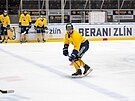 Hokejov tonk Petr Holk ve zlnskch barvch.