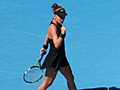 Sára Bejlek se hecuje v prvním kole Australian Open.