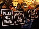 Protivládní demonstrace Slovák v ilin (18. ledna 2024)