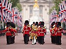 Britská královská garda na tradiní akci Trooping the colour (17. ervna 2023)