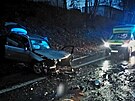 Nehoda se stala v sobotu po 16. hodin u Borova nad Vltavou.