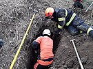 Hasii na Kyjovsku zachrnili ze zasypan elezobetonov roury uvznnho psa.
