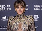 Halle Berry (prosinec 2023)