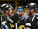 Verva Litvínov - Rytí�i Kladno, hokejová extraliga. Nicolas Hlava, autor dvou...