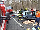 Nehoda na Jind�ichohradecku skon�ila tragicky.