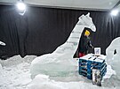 Pustevny hostí výstavu Ledové sochy, tématem je tentokrát archa Noemova (leden...