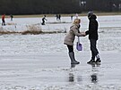 Lidé vyuívají k bruslení louky u Doban nedaleko Plzn zalité zmrzlou vodou z...