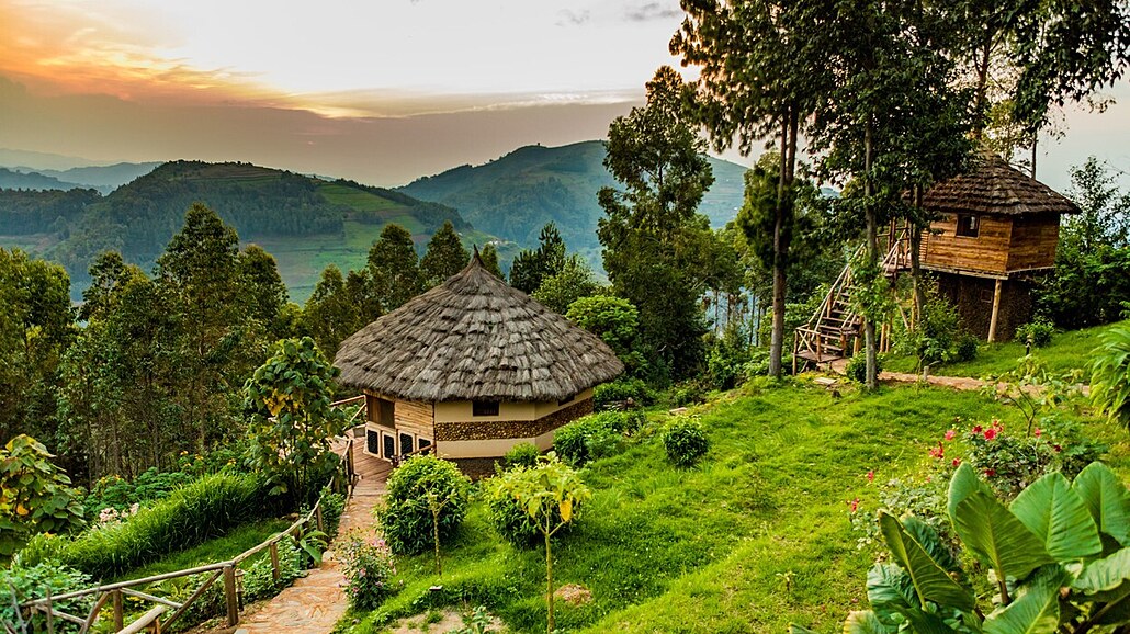 Bwindi Impenetrable Forest National Park¨v Ugand�