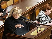 Předsedkyně poslanců ANO Alena Schillerová při mimořádné schůzi Sněmovny k...