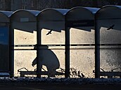 Ostrava. eský hydrometeorologický ústav vyhlásil v celém Moravskoslezském...