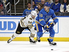 Colton Parayko ze St. Louis Blues je stíhán Jakubem Laukem z Boston Bruins.