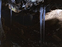 Nkteré rampouchy v Cigánské jeskyni poblí Ostrova u Macochy sahají od shora...