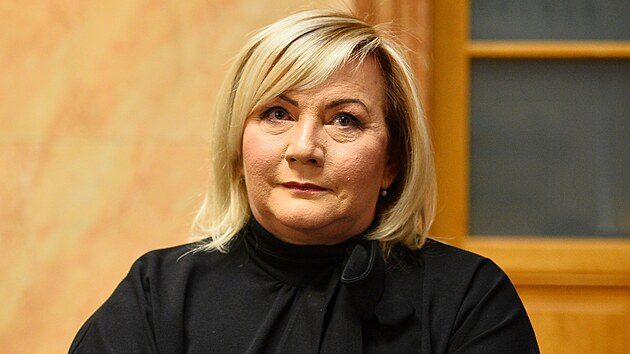 Poslankyn ANO Alena Schillerov u stavnho soudu. (10. ledna 2024)