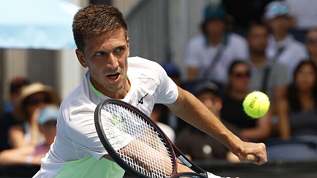 Djokovic'le düello mu?  Kopřiva, gerçekleşen bir hayal ve kazan alamayacağım korkusunu anlatıyor