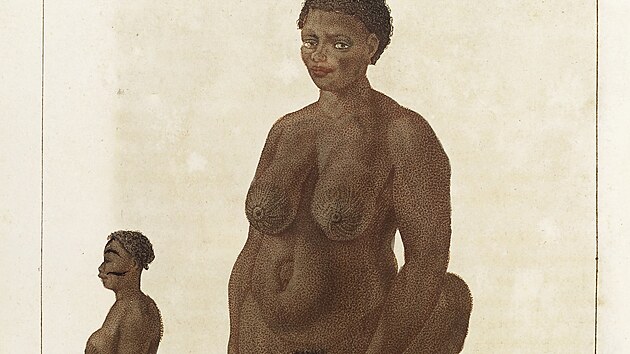 Hotentotsk� Venu�e (asi Saartjia) s vyboulen�mi h��d�mi a vyobrazen�m prodlou�en�ch stydk�ch pysk�.