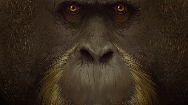 Pan Gigantopithecus blacki, ob opice. Tak ob, e na svou velikost nakonec doplatila, k studie,