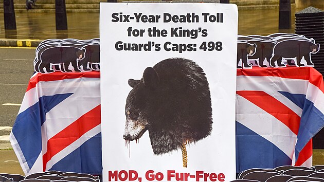 Ochrnci zvat v Londn protestuj proti epicm z medvd ke, kter nos britsk krlovsk garda. (12. jna 2023)