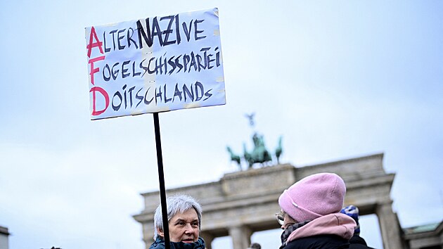 Tisce lid demonstrovaly v nedli v Berln, Postupimi i Saarbrckenu proti extremismu a krajn pravici. (14. ledna 2024)