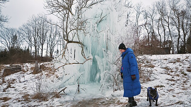 Lid chod obdivovat prodn ledovou skulpturu vyrostlou psobenm poprak vody, mrazu a vtru na kovin v lukch u delova.